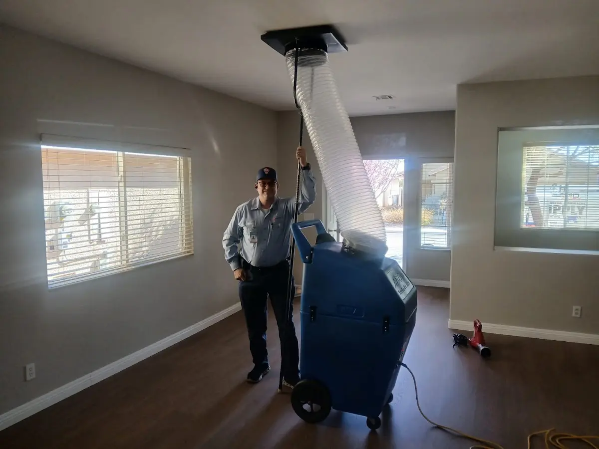 Professional Dryer Vent Cleaning work inside a Hutto home